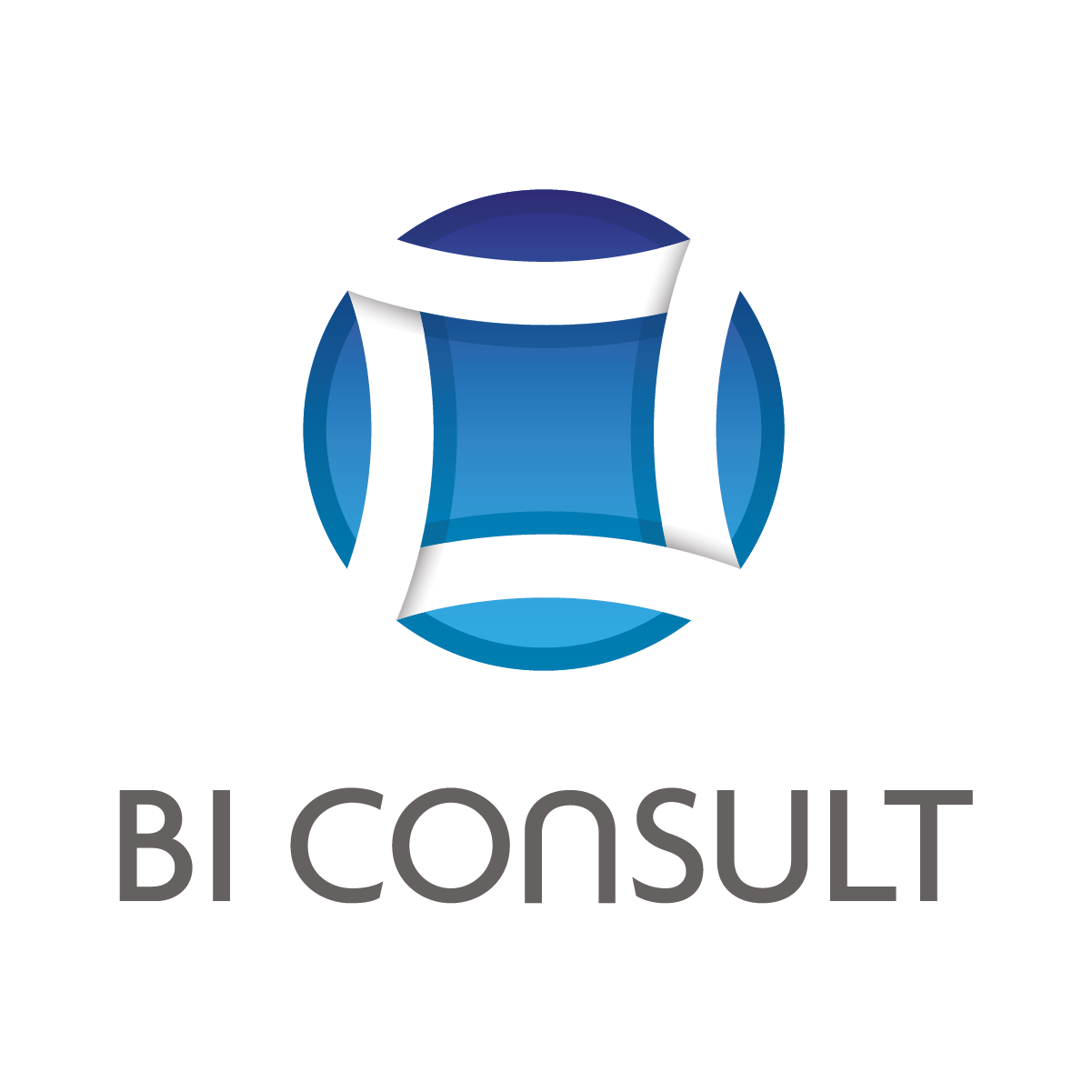 BI Consult_Logo_mh